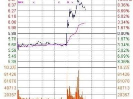 苏宁电器股票分析 国美倒了，苏宁还能活多久？