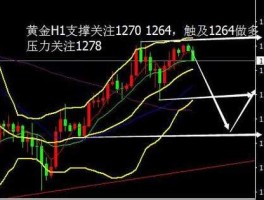 黄金大盘，黄金大盘价格157274是什么意思多少钱？
