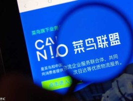 菜鸟网络公司（菜鸟网络到底是个啥？）