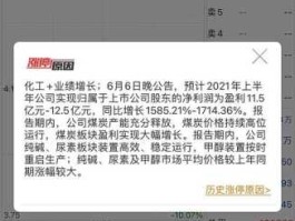 股票000683？远兴能源股票为什么只有266了？