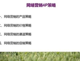 网络营销渠道策略 什么是营销策略是4PS吗？