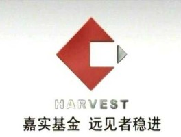 嘉实领先成长，嘉实增长基金怎么样？