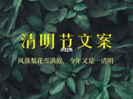 清明假期酒店预订量，清明节酒店销售朋友圈文案？