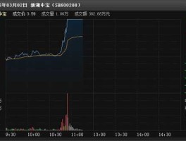 新湖中宝股份 新湖中宝股票怎么样？