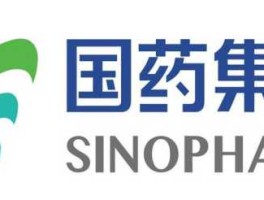 国药股份（国药集团和国药股份是一个公司吗？）