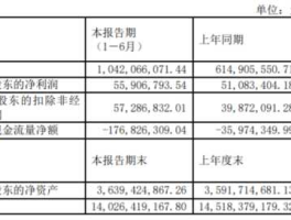 600773？西藏城投是国企还是直属企业？