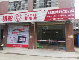 骆驼股份股票（锂金属电池上市公司？）