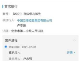 卢志强？卢志强被强制执行原因。 l？