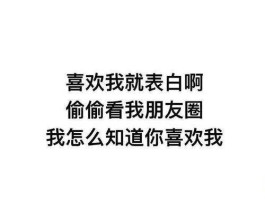 千万遍我爱你（一个女孩发朋友圈写着，撩你的话，也跟别人说了千万遍，这句话什么意思？）