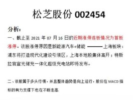 002454股票，松芝股份是国企吗？