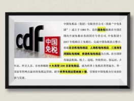 中免？中免集团的介绍是什么？