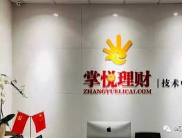 掌悦理财？上海已结案的非吸案件？