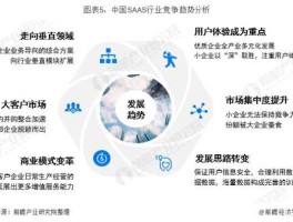 vc saas？国内SaaS现状和发展是怎样的？