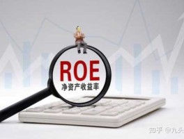 roe股市里代表什么（股市里的roe是什么意思）