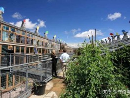 威廉希尔，willmar是什么公司？