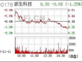 江西长运股票 300176派生科技公司概况？