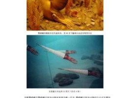 活化石动物 哪些动植物属于“活化石”？