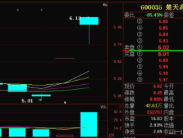 600035股票 600035楚天高速什么概念？