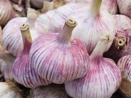 大蒜现货交易网 新鲜的大蒜头哪里买？