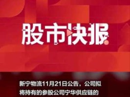 新宁物流 新宁物流增发落地后，大河控股的股份怎么没有增加？