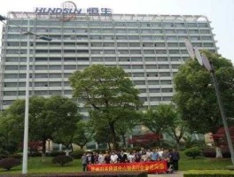 恒生电子股份有限公司（杭州恒生电子集团有限公司介绍？）
