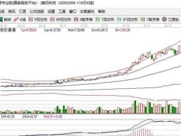 三维工程股票（先临三维，股票为什么上涨十几个点？）