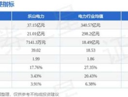 乐山电力股票 股票2002174原来股名？