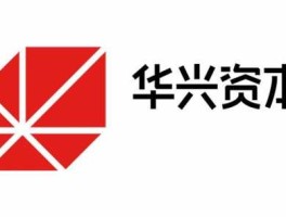华兴资本（华兴电力股份有限公司官网？）
