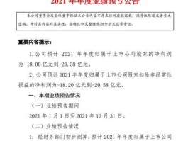 金山能源（金山股份是国企吗？）