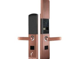 605268 什么指纹门锁最好？