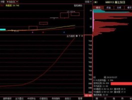 股票600113 浙江东日是什么公司？