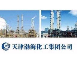 天津磁卡？渤化集团有哪些子公司？