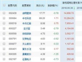 中国股票网 中国股票网是哪哪年上市的？