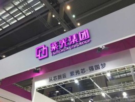 紫光控股 紫光股份有限公司怎么样？