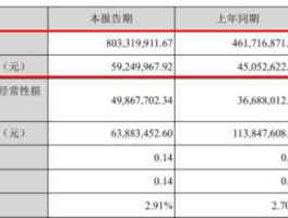 巨潮资讯网年报（财报怎么查询？）