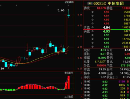 600252中恒集团（600252中恒集团前景如何，是大盘还系小盘？）