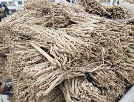 黄芪价格？现在干黄芪价格怎么样今后走势如何呀？