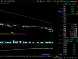 600086东方金钰 东方全钰股票怎么跌没了？