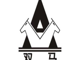 双马，杭州双马创立专注一件事是什么？
