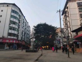 武胜吧？四川广安市武胜县列面镇房价是多少？