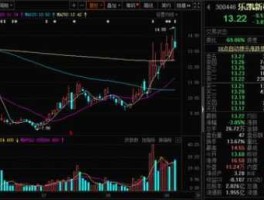 300029天龙光电 创业板st股票都有哪些？