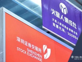 300894 2020年12月有哪些公司上市？