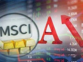 msci是什么？什么叫msc i概念？