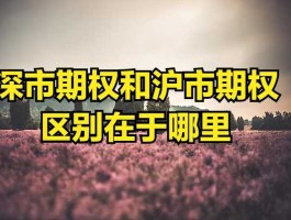 深市 为什么只有沪市和深市，他们由哪个组织进行管理？