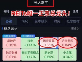股票600622，reits概念龙头股？