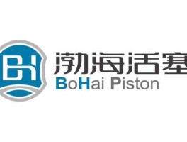 600960渤海活塞？山东滨州渤海活塞股份有限公司的介绍？