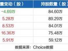 000981股票 深圳银都和银都股份一样吗？