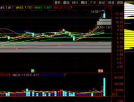 600606股吧（600604股吧）