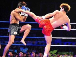 河南卫视武林风在线直播（武林风28号几点直播？）