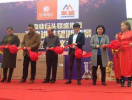联盛，联盛集团靠谱吗？
